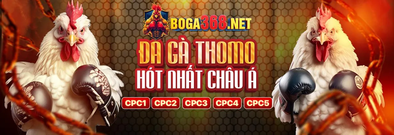 Đá gà trực tuyến XN88 APK
